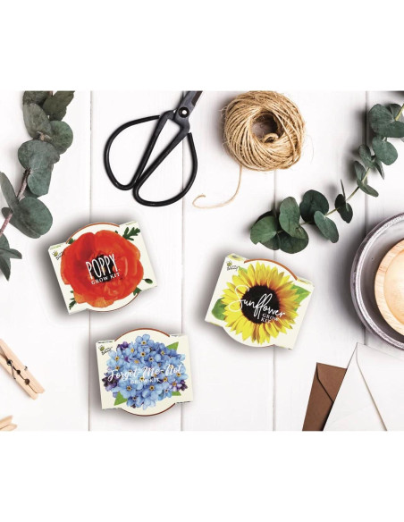 Kit de Macetas Mini de Terracota Buzzy | 6 Unidades para Jardín Kit de Macetas Mini de Terracota Buzzy | 6 Unidades para Jardín