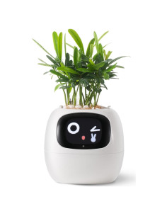 Maceta Inteligente PLANTSIO Ivy con Riego Automático Blanco