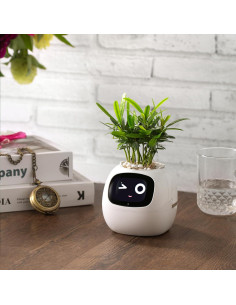 Maceta Inteligente PLANTSIO Ivy con Riego Automático Blanco 2