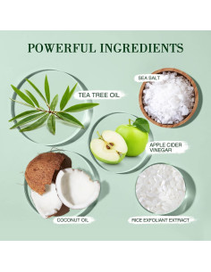 Exfoliante de cuero cabelludo SHVYOG 300 g con aceite de árbol de té 2