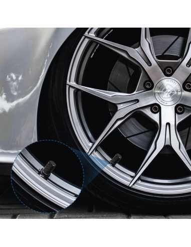 Tapas de Válvula de Neumático Ouzorp 12PCS Universal Aluminio