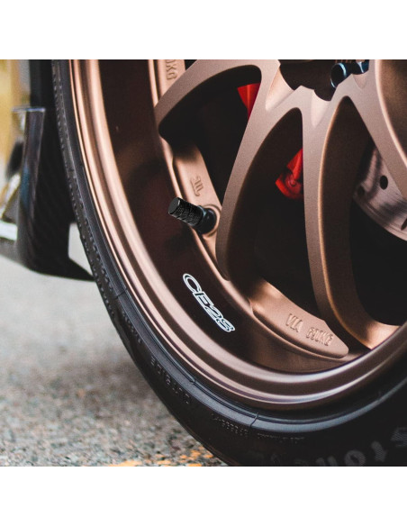 Tapas de Válvula de Neumático Ouzorp 12PCS Universal Aluminio